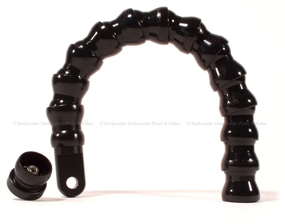 Backscatter - 12" Flex Arm with YS End - Image 2