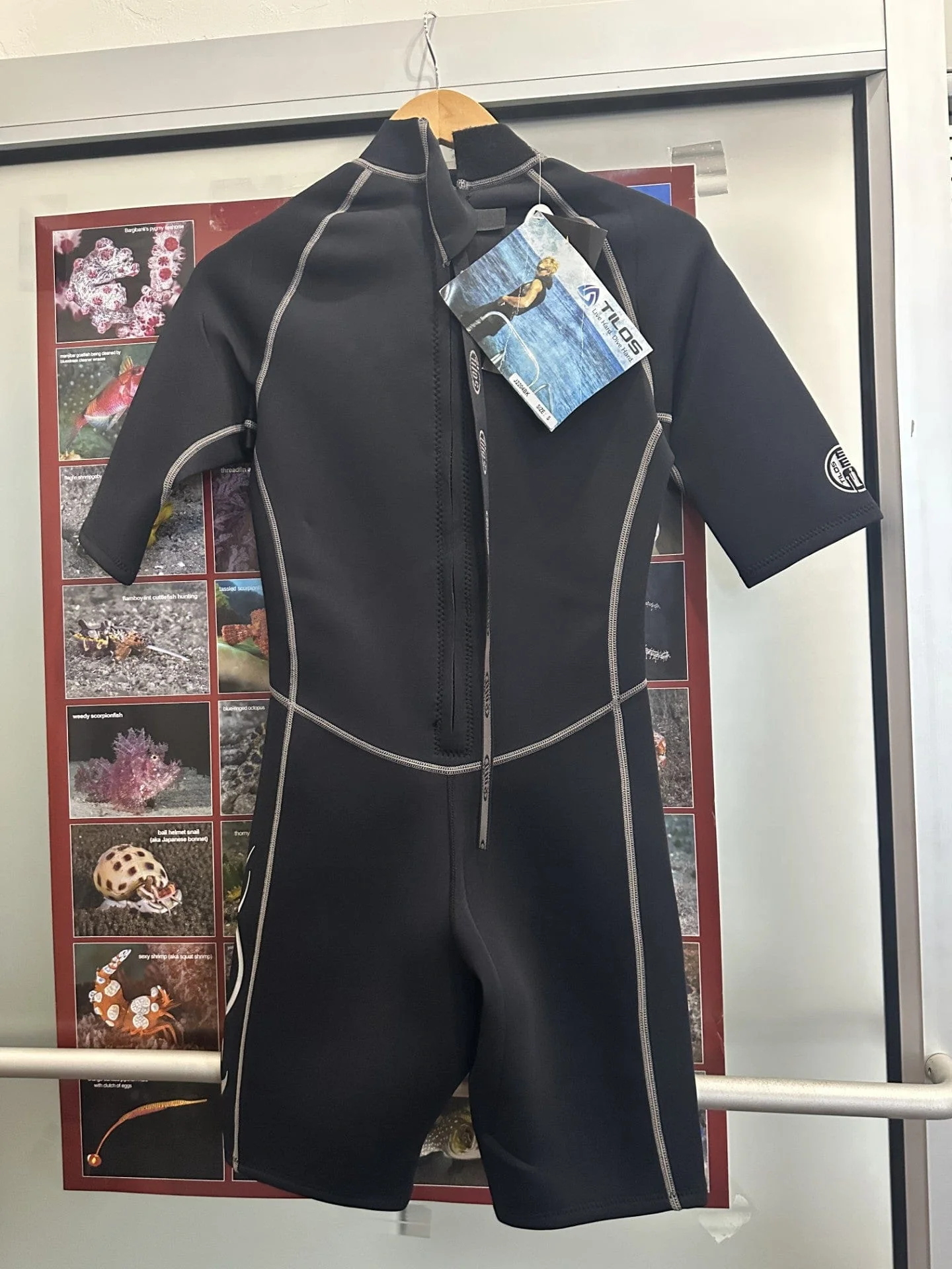 Tilos - Women's 2MM Size Small Shorty (WETSUIT CLEARANCE) - Image 5