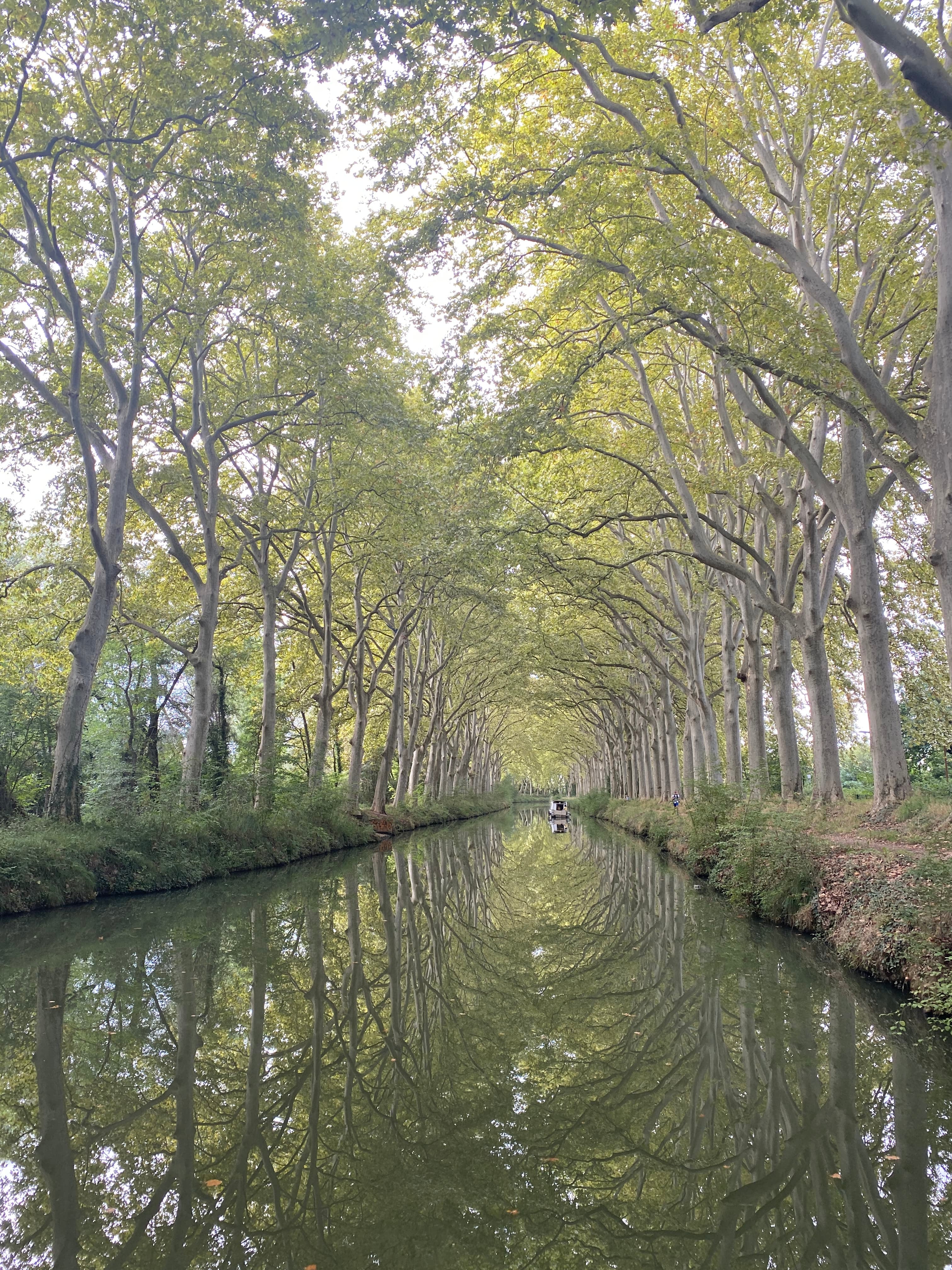 Travel -  August 18-29, 2027 - Cave Diving France - Caves & Culture - Image 13