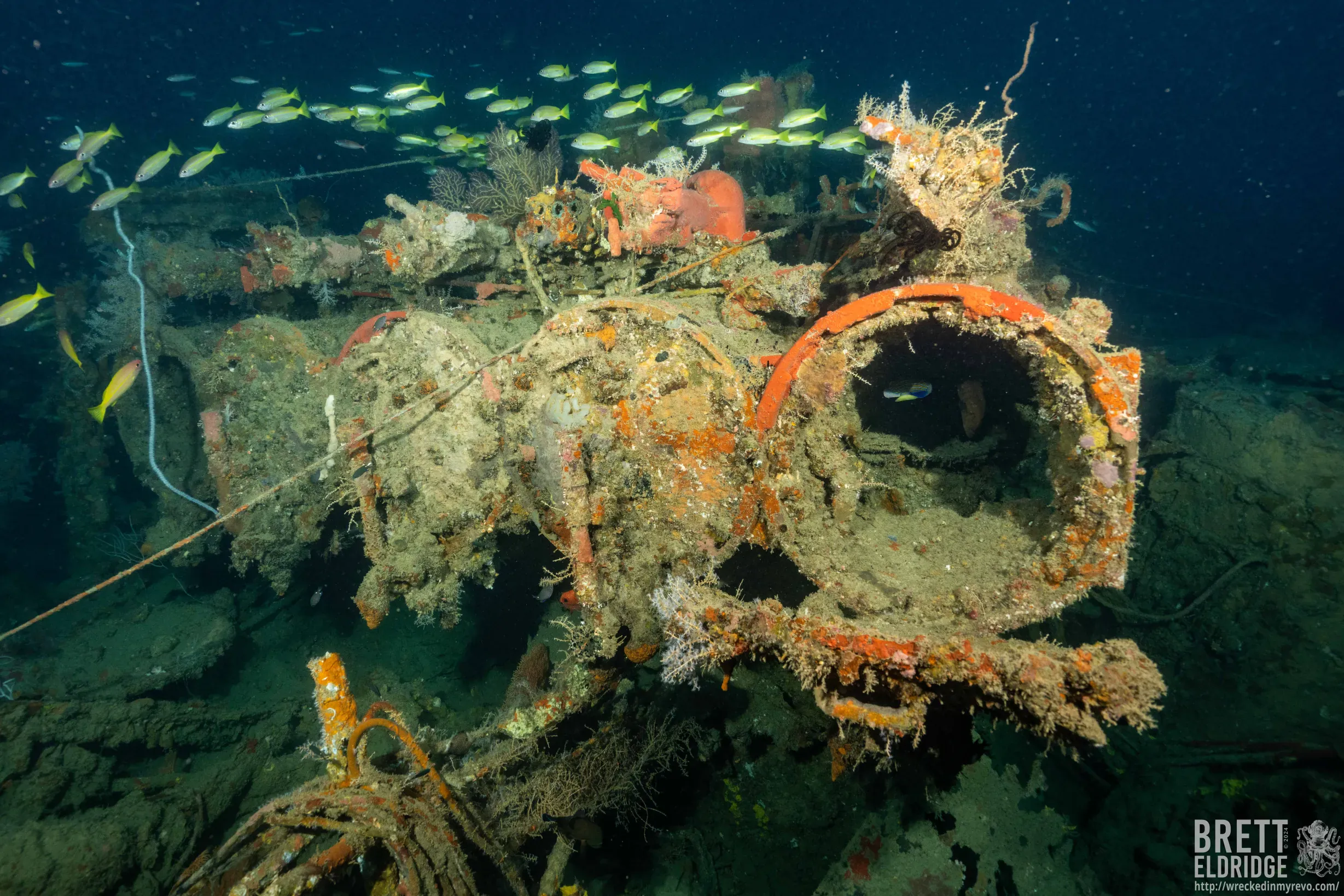 Travel - 7/10-20, 2026 - Iron Bottom Sound - Solomon Islands Deep WWII Wrecks - Image 5