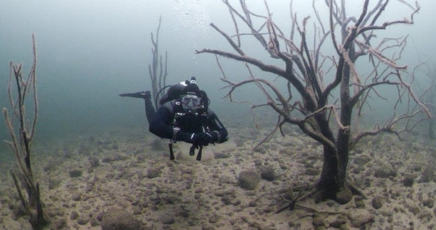 Travel - Lake Pleasant - Monthly Fun Dives - Image 3