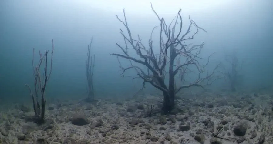 Travel - Lake Pleasant - Monthly Fun Dives - Image 5
