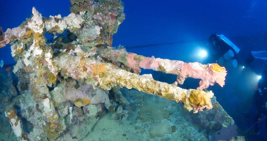 Travel - Truk Lagoon - March 2027 - Chest Mount Week - Blue Lagoon Dive Resort - Image 6